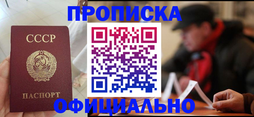 временная регистрация для школы в Камышине